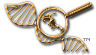 ACTN3 Bioinformatics